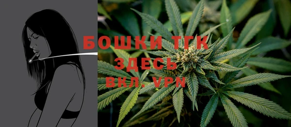 ГАЛЛЮЦИНОГЕННЫЕ ГРИБЫ Инта