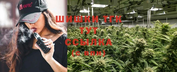 ГАЛЛЮЦИНОГЕННЫЕ ГРИБЫ Инта
