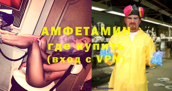 ГАЛЛЮЦИНОГЕННЫЕ ГРИБЫ Инта