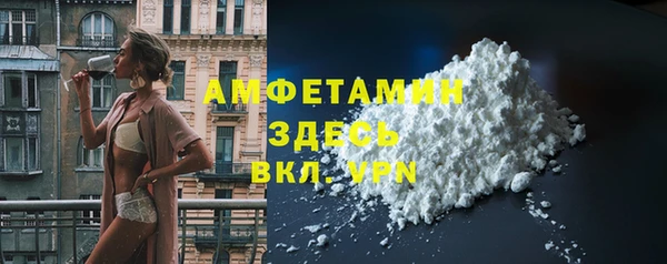 ГАЛЛЮЦИНОГЕННЫЕ ГРИБЫ Инта